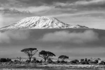 Tanzania - Mount Kilimanjaro - Zanzibar & All big Parks in Tanzania. - 1