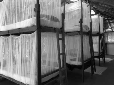 Indien - South Goa - Goa New Year's: Where the Sun Sets and the Party Never Stops - 2