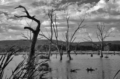 Australia - Albury - Australia Twin Cities Sydney & Melbourne Coworking  Trip