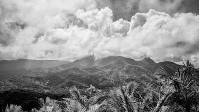 Amerika - El Yunque National Forest - Caribbean Dream & Disney Magic:🏝️ Florida and Puerto Rico Adventure🇵🇷