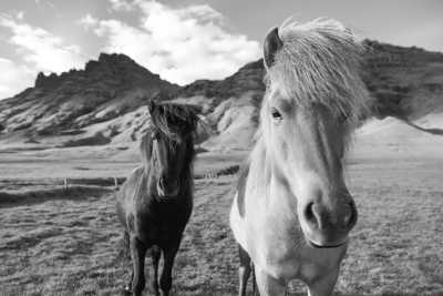 Iceland - Blue Lagoon - Iceland with Flo & Jenni Ball (Triple Sharing Caravan)