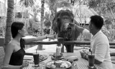 Indonesien - Lombok Wildlife Park - Backpacking Through Lombok Island in Indonesia - 3