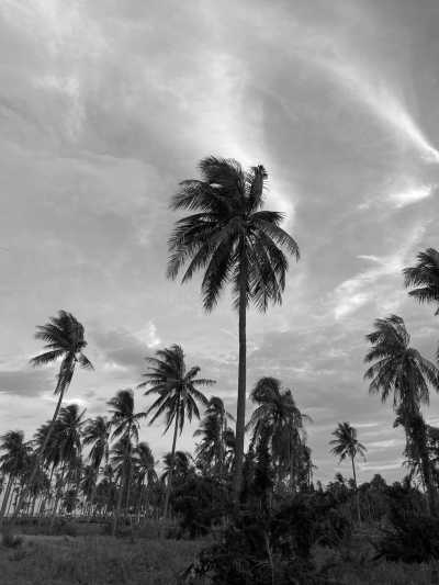 Thailand - Pran Buri District - Kitesurfing while Exploring Thailand - 4