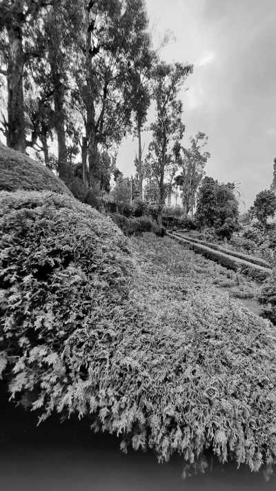 India - Kodaikanal Hill Station - Ancient South India: Experience the Exotic Ancient Temples and Enticing Hills of Tamilnadu - 3