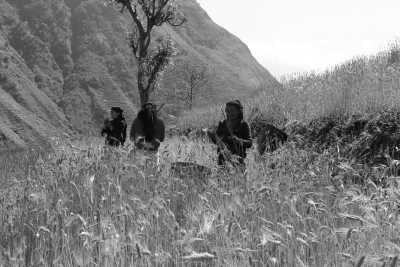 Nepal - Laprak - Manaslu Circuit Trek - With Subash Gurung