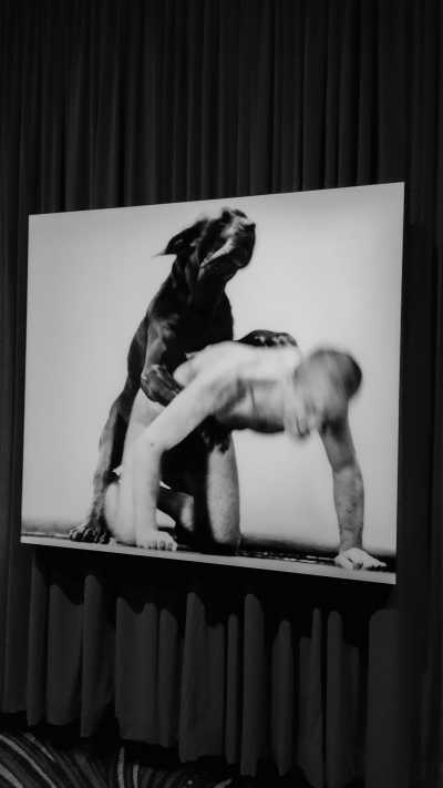 Australia - MONA - Travel South Tasmania, Australia with Millie! - 2