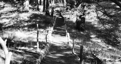 Lebanon - Zedern des Herrn - Lebanon 🌴🌏 CoWorking 💻 with Locals - 3