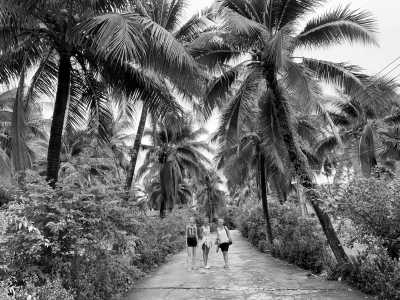 Cambodia - King Island - Natural Cambodia - 🐾 a trip that no one has ever taken ⚡ (Angkor temples, capital, jungles and relax at the Island are included!) - 4