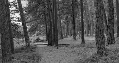 Lettland - Lilaste - Explore Riga, Latvia and nature around! - 1