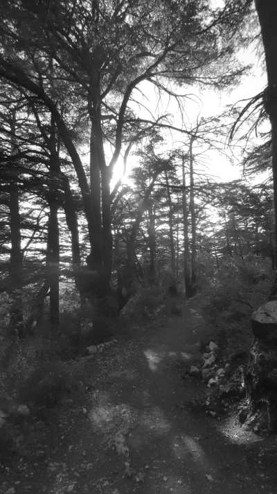 Lebanon - Tannourine El Faouqa - Explore, Hike, Paraglide: Two Days Adventures 🇱🇧 - 3