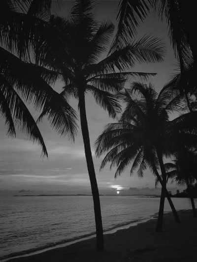 Cambodia - Wat IntNhean Called Wat Krom - Explore Cambodian Wonders: Embark on a Captivating Journey Through Charming Cities, Home to Angkor Wat: A Unique Experience in Warm Indochina - 3