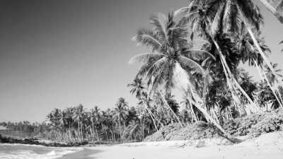 Sri Lanka - Mirissa - 2 Week Sri Lanka Tuktuk Trip - 2