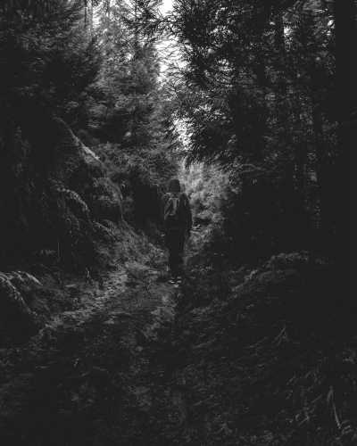 Portugal - Furnas - Visit the Evergreen Azores 🦋: Waterfall Hunt, Hot Springs, Volcanic Crater Lakes, Whale Watching Tour 🪸 - 4