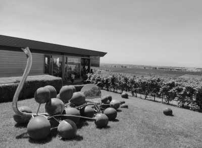 Greece - Ktima Gerovassiliou - Beauty of Greece! 🇬🇷💙🤍 - 1