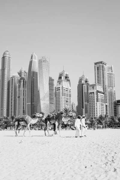 United Arab Emirates - Al Fattan Tower - Dubai Co-Working Delight (Shared Rooms): Explore the culture, food, beaches, nightlife, desert, and everything else Dubai has to offer! - 10