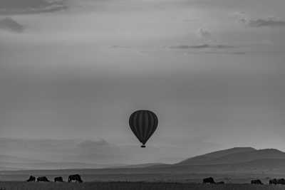 Tanzania - Tarangire-Nationalpark - Discover Tanzania and experience the African safari with a local! - 2