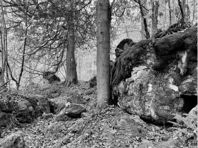Canada - Hope Bay - 🌲 Hiking Escape to the BRUCE PENINSULA: Explore Georgian Bay & the Bruce Trail in Ontario - 4