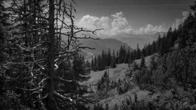 Germany - Jenner - A Magical Experience | Hiking & camping in German Alps | Walkshop Light | Berchtesgadener Land | Königsee | 5 days - 5