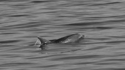 Croatia - Split - Catamaran Sailing Trip in Croatia - 4