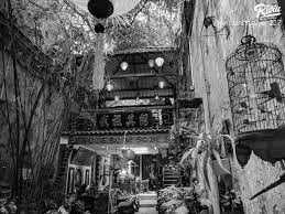 Vietnam - Hanoi - Vietnam Chronicles: Journey Through Ancient Dynasties and Thrilling Landscapes - 9