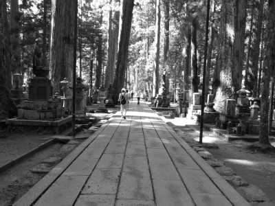 Japan - Koyasan - Spring in Japan:  2 wks Adventure for Cherry Blossom Seekers - 6