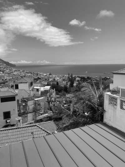 Portugal - Funchal City Center - Single Rooms Affordable Co-living in the Hub of Funchal with Guaranteed Adventure, Nature and Fun on the Dream Island of Madeira 🌴 - 25