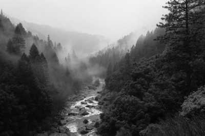 India - Himalayan Odyssey: Discovering the Beauty of Himachal Pradesh in India - JoinMyTrip