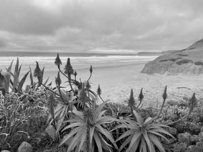 Portugal - Lagos - Fishermen's Trail - Küstenwanderung in Portugal