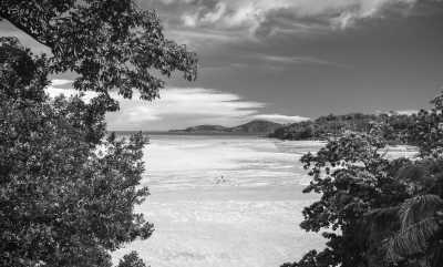 Thailand - Ko Lan - Discover Pattaya Like a Local: Join Our Exclusive Co-Hosted Adventure! - 2