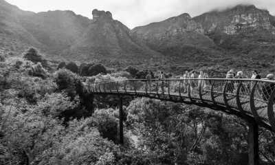 South Africa - Kapstadt - Südafrika Highlight Roadtrip: Garden Route, Panorama Route und Safari - 3