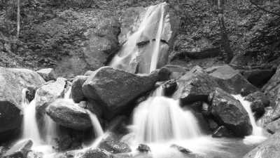 Malaysia - Kinabalu Park - Malaysian City Lights 🌆 to Jungle Heights 🌴: Kuala Lumpur, Malacca, Penang & Sabah - 8