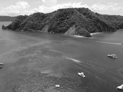 Costa Rica - Tortuga Island Tour - 🌴 Costa Rica Remote Jungle & Beach Adventure 🌊 - 1