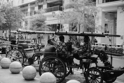 Indonesia - Yogyakarta - Start Your Journeys! Exploring UNESCO-listed Places in Java and Galungan Atmosphere in Bali. - 5