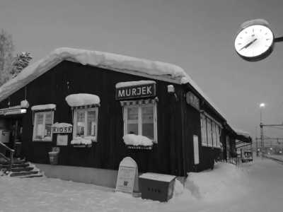 Schweden - Murjek - Weekend Winter Experience Trip: Dog Sledding, Snowmobiling, and Norden Lights (All included)