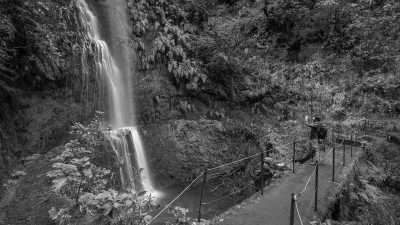 Portugal - Levada do Caldeirão Verde - Portuguese Getaways: Discover Madeira Island’s Hidden Gems with a Local! 🌄🍷 - 3