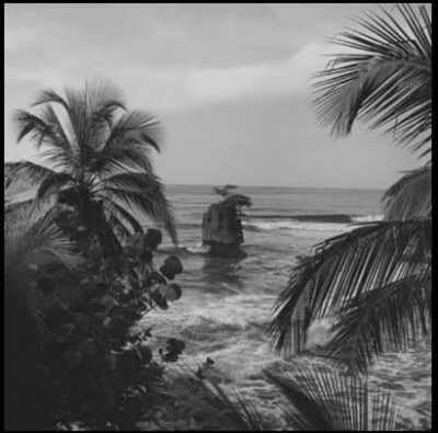 Costa Rica - Puerto Viejo de Talamanca - Work and Live in Costa Rica's Wonderful South Caribbean Side! - 4