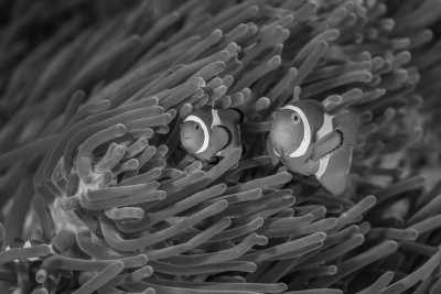 Malaysia - Sipadan Island - Girl's Trip to Semporna, Sabah, Malaysia: 6 Days and 5 nights