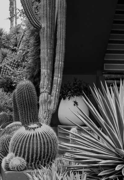 Morocco - Yves Saint Laurent Museum - Marrakech, Morocco Travel worry-free (Yoga, discovery, food and tours) - 2