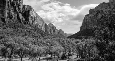 United States - Zion-Nationalpark - 4 Wochen Roadtrip 🚗 durch den Südwesten der USA 🇺🇸