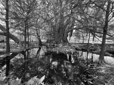 Mexiko - Misión de Conca - Discover Mexico's Hidden Wonders: Sierra Gorda Queretaro - 2