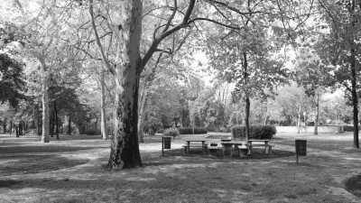 Hungary - Margaret Island - Danube Bicycle tour and discovering Budapest, Hungary 🚲🌉 - 3