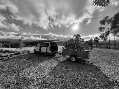 South Africa - Stellenbosch - Südafrika: das Kap, der Wein, die große und kleine Karoo, Gardenroute, garantierte Durchführung - 6