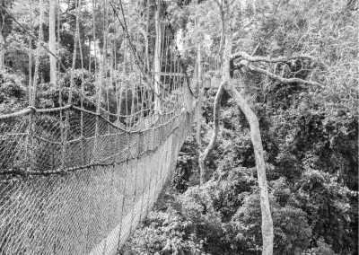 Ghana - Kakum National Park - Getting around Ghana like a local! - 3