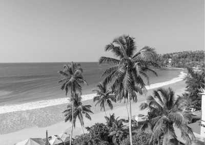 Sri Lanka - Mirissa - Wildlife safari + Relaxed Beach Holiday in Sri Lanka - 1