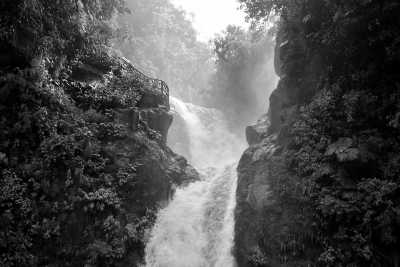 Costa Rica - La Paz Waterfall Gardens Nature Park - ESSENCE OF COSTA RICA: CITY,CULTURE. VOLCANOES, COFFEE