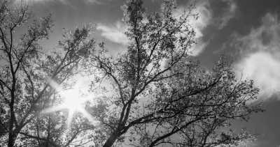 Vereinigte Staaten - Norfolk - Roadtrip USA #1 — das Datum für den Trip ist noch nicht festgelegt. Es ist nur 2024, damit der Trip online bleibt. Sobald ich mehr weiß erscheint ein neues Datum