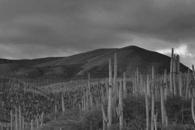 Mexiko - Hierve el Agua - Experience the REAL Day of the Dead 2023 ☠️ 7-day EPIC trip in Mexico! 🇲🇽 - 3