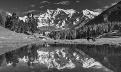 Asien - Gilgit-Baltistan - Backpacking in Central Asia - Explore Uzbekistan, Kazakhstan, Kyrgyzstan, Tajikistan and Pakistan for two months! - 2