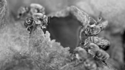 Mexico - San Miguel de Cozumel - Nature Retreat in Mexico, Playa del Carmen 🇲🇽 Cleansing Ritual, Detox, Culture, Food and more! 🌴 - 1