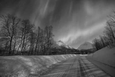 Norwegen - Tromsø - Norway Tromso - Northern Lights Photo Tour 📷